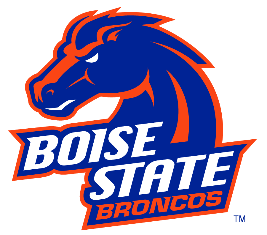 Boise State Broncos 2002-2012 Secondary Logo v29 diy DTF decal sticker